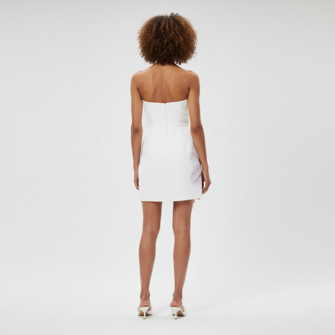 CLARA White Floral Embroidered Mini Dress